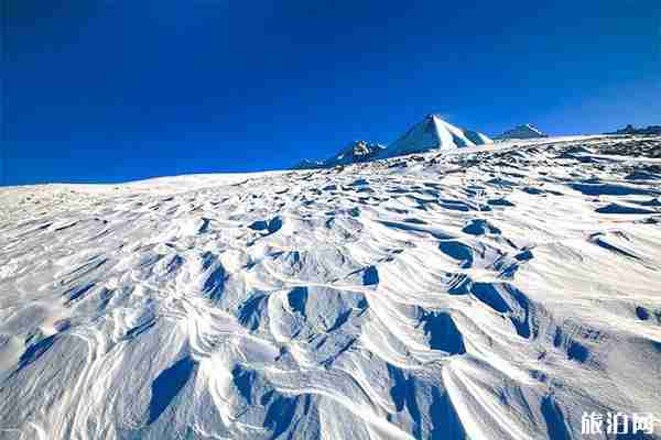 青海门源有什么好玩的 热门景点推荐