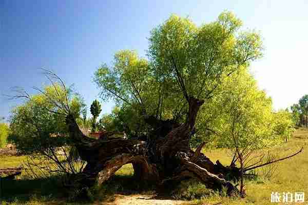 榆林周边哪里秋景比较好
