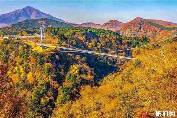 日本九州红叶2019观赏地点推荐