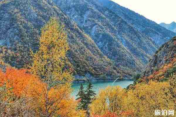 四川枫叶最美的地方推荐+地址+最佳观赏时间+门票