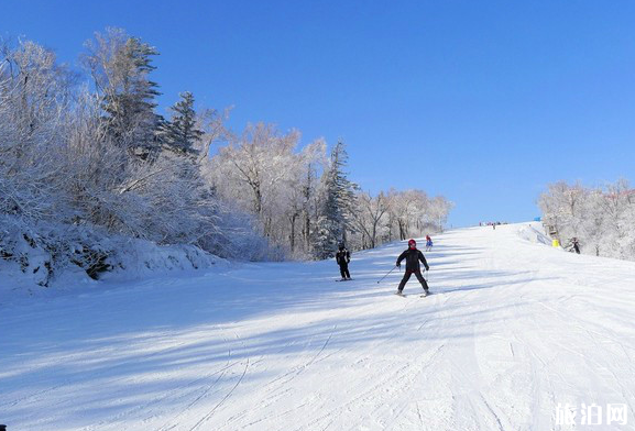 亚布力滑雪场什么时候开放 亚布力有几个雪场