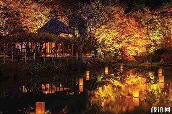 九州红叶什么时间2019+观赏地点推荐