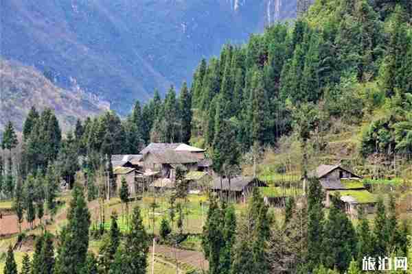 恩施鹿院坪好玩吗 鹿院坪门票多少钱