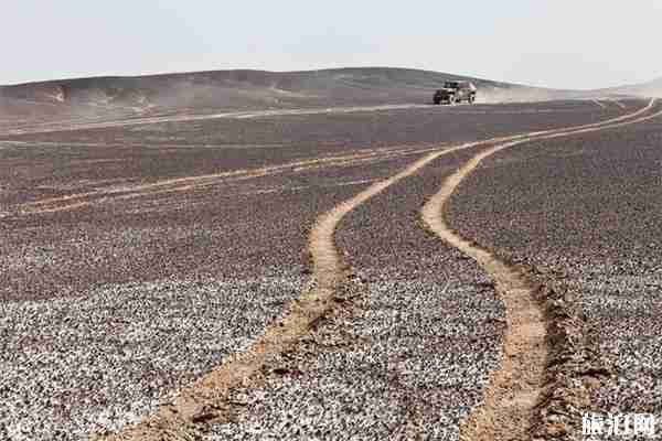 新疆若羌有什么好玩的 若羌热门景点