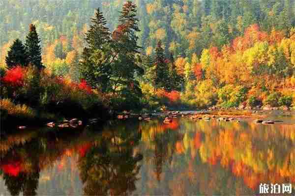 江苏周边自驾游最值得一去的景点有哪些