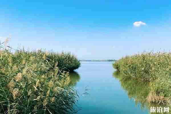 宁夏沙湖旅游精品线路 亲子游路线