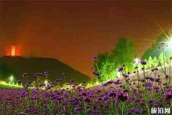 遂宁网红打卡景点有哪些 遂宁网红景点介绍