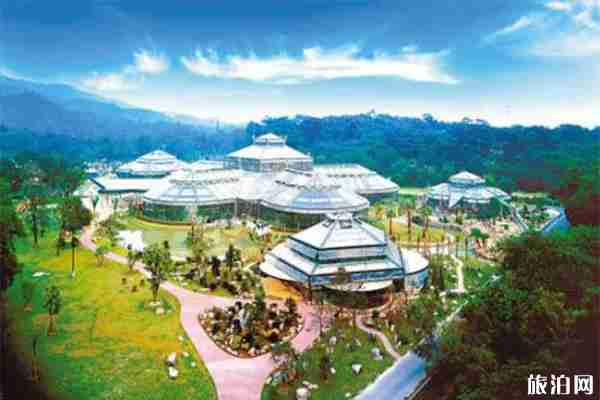 湛江南亚热带植物园有什么好玩的 参观攻略