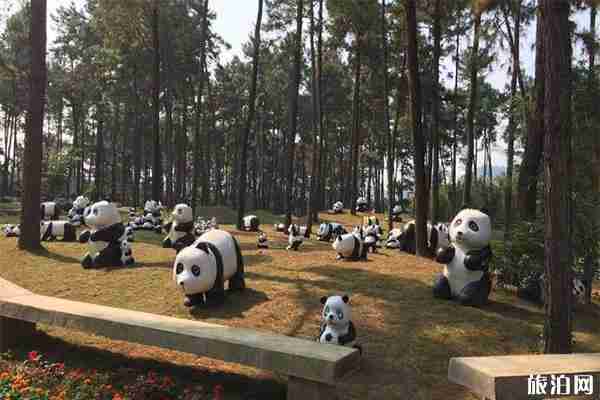 安吉竹博园好玩吗 门票多少钱