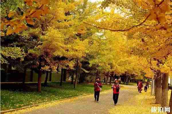 贵阳周边自驾游景点推荐 贵阳自驾游线路