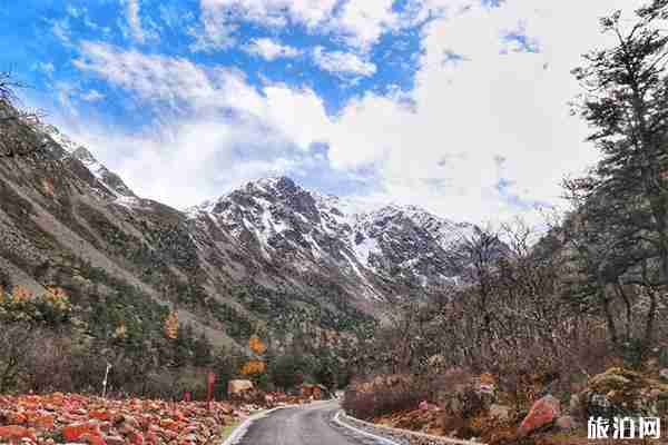 木格措景区好玩吗 门票多少钱