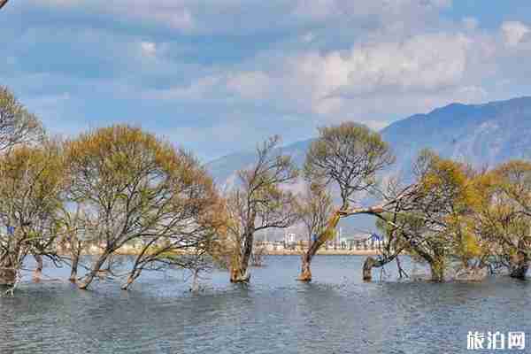 云南鶴慶有什么好玩的 景點(diǎn)推薦