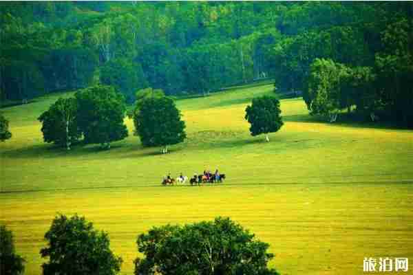 北京周邊自駕草原國慶推薦