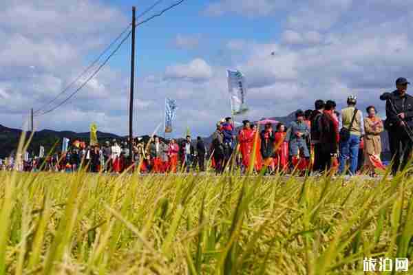 2019湖北農民豐收節慶?；顒庸ヂ孕畔? width=