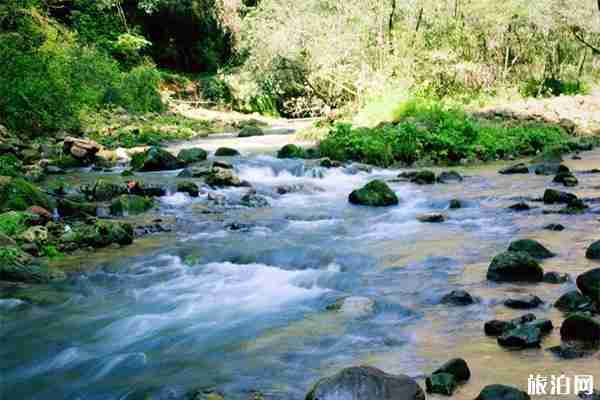 武陵源核心景區有哪些 門票多少錢