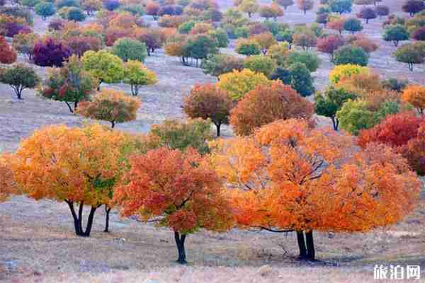 代欽塔拉有什么好玩的