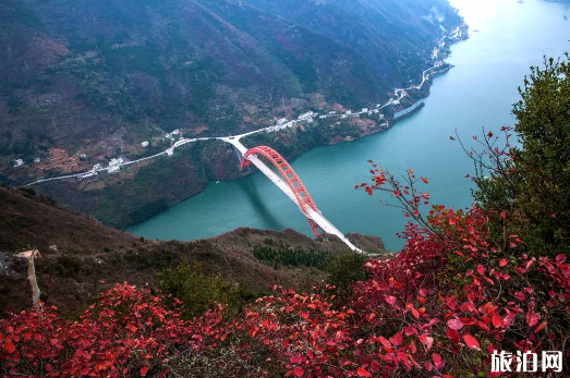 重慶秋天周邊哪里好玩 重慶秋秋季周邊景點推薦