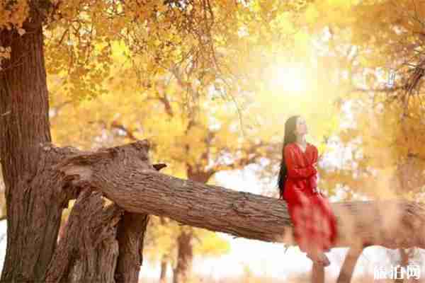 额济纳国庆游玩攻略 怎么玩+住宿+气候