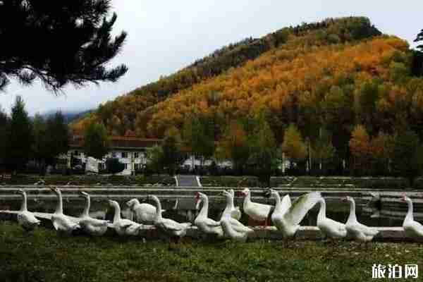 世界旅游日五台山免费吗+旅游攻略