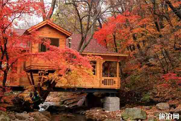 本溪赏秋自驾攻略 桓仁枫林谷+青山沟飞瀑涧