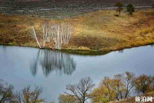 蛤蟆坝景区好玩吗