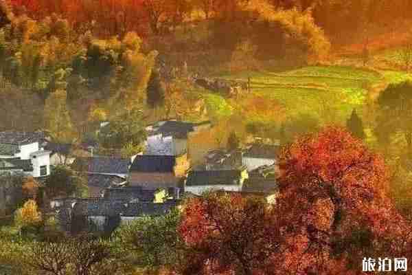 秋天安徽最美的地方推薦