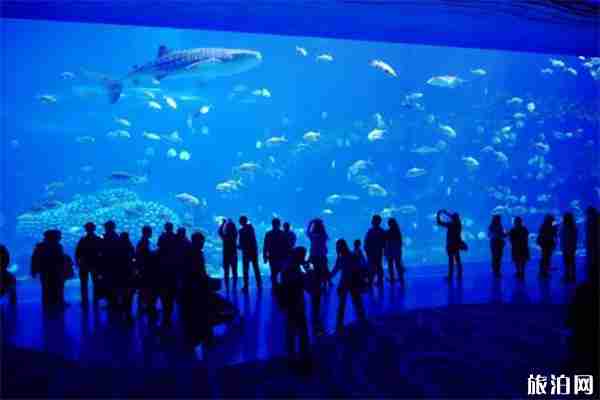 珠海長隆海洋王國煙花幾點開始，附國慶珠海長隆煙花信息