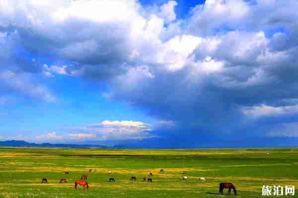 新疆自駕路線推薦