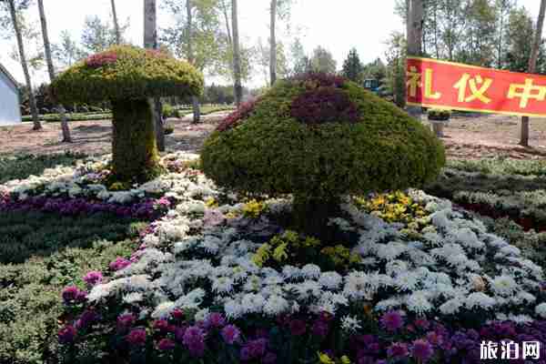 2019年齊齊哈爾梅里斯湖菊花節(jié)時間+地址+活動介紹