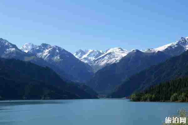 新疆出游方式有哪些