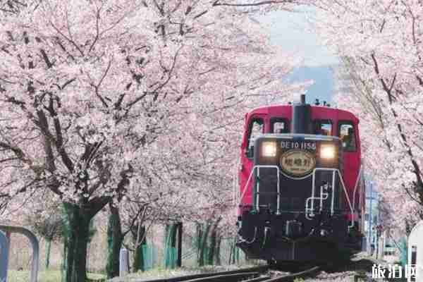 京都岚山小火车开放时间+怎么去+发车时间