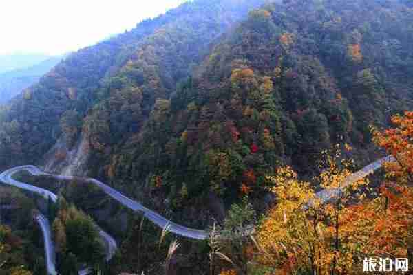 四川光雾山红叶哪里最好看 光雾山拍红叶去哪里比较好