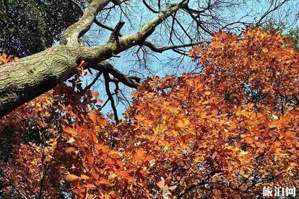 五云山爬山路线 五云山在哪里+交通