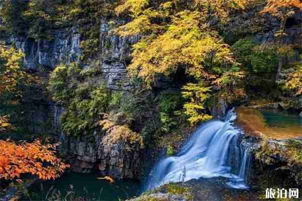 黎坪赏秋自驾攻略 附2019黎坪红叶节门票价格