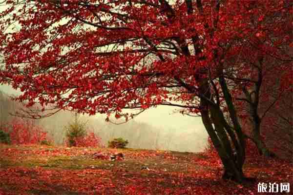 北京香山公园索道门票价格+许愿地点