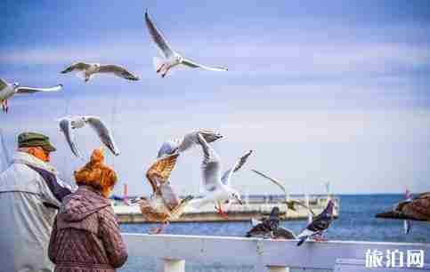 波兰签证办理有哪些类型