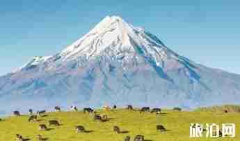 电子签证是什么意思+怎么使用+申请办法