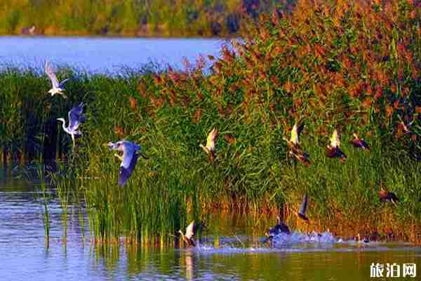 亲爱的客栈第三季在哪里拍的+拍摄地点介绍