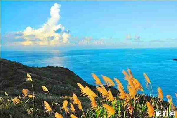 浙江芦苇荡在哪里看+门票+介绍