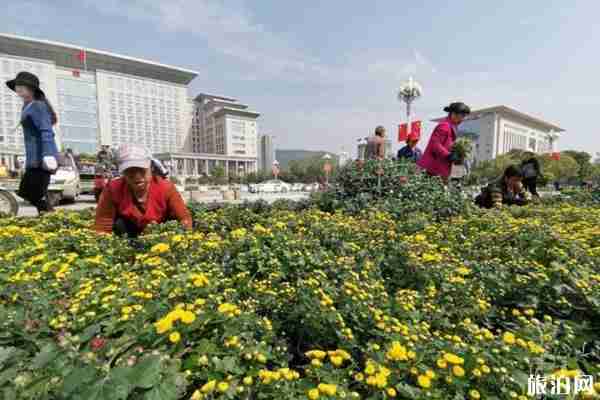 2019宝鸡菊花展时间+地点+介绍