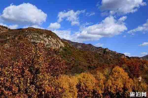 喇叭沟门景区摆渡车收费多少钱+登山会花费多少时间