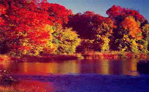 加拿大境内转学是否需要重新办理学生证