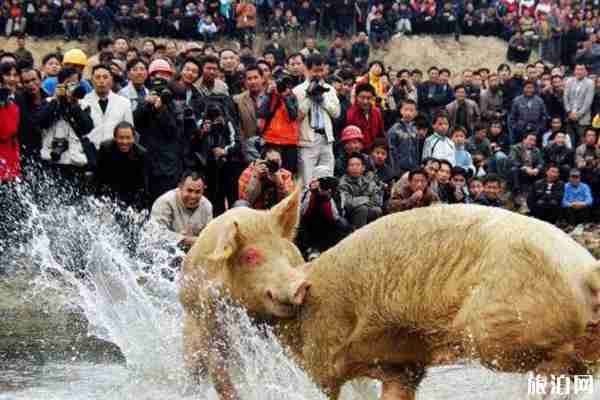 2019雷山苗年時間+活動介紹