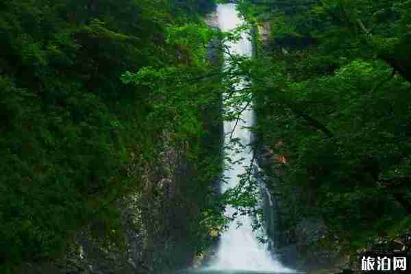 2019天堂寨門票免票政策+游玩攻略