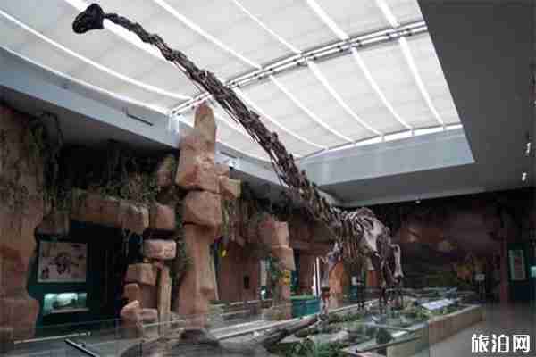 甘肅省博物館參觀指南