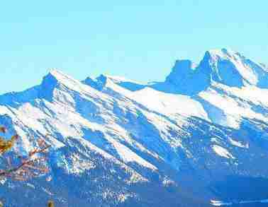 邮寄方式申请 如何查询加拿大签证进度