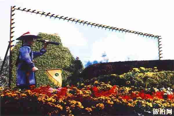 鎮海招寶山景區2019菊花展10月28日開幕