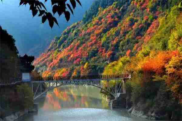 陜西秦嶺紅葉最佳觀賞時間 附2019陜西秦嶺紅葉節