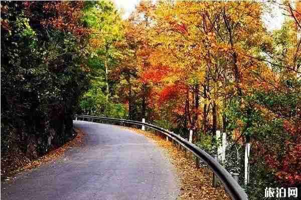 貴州楓葉旅游景點攻略