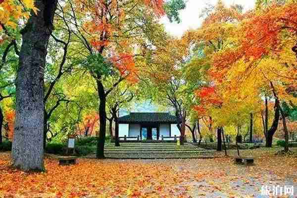 2019苏州天平山枫叶节活动攻略